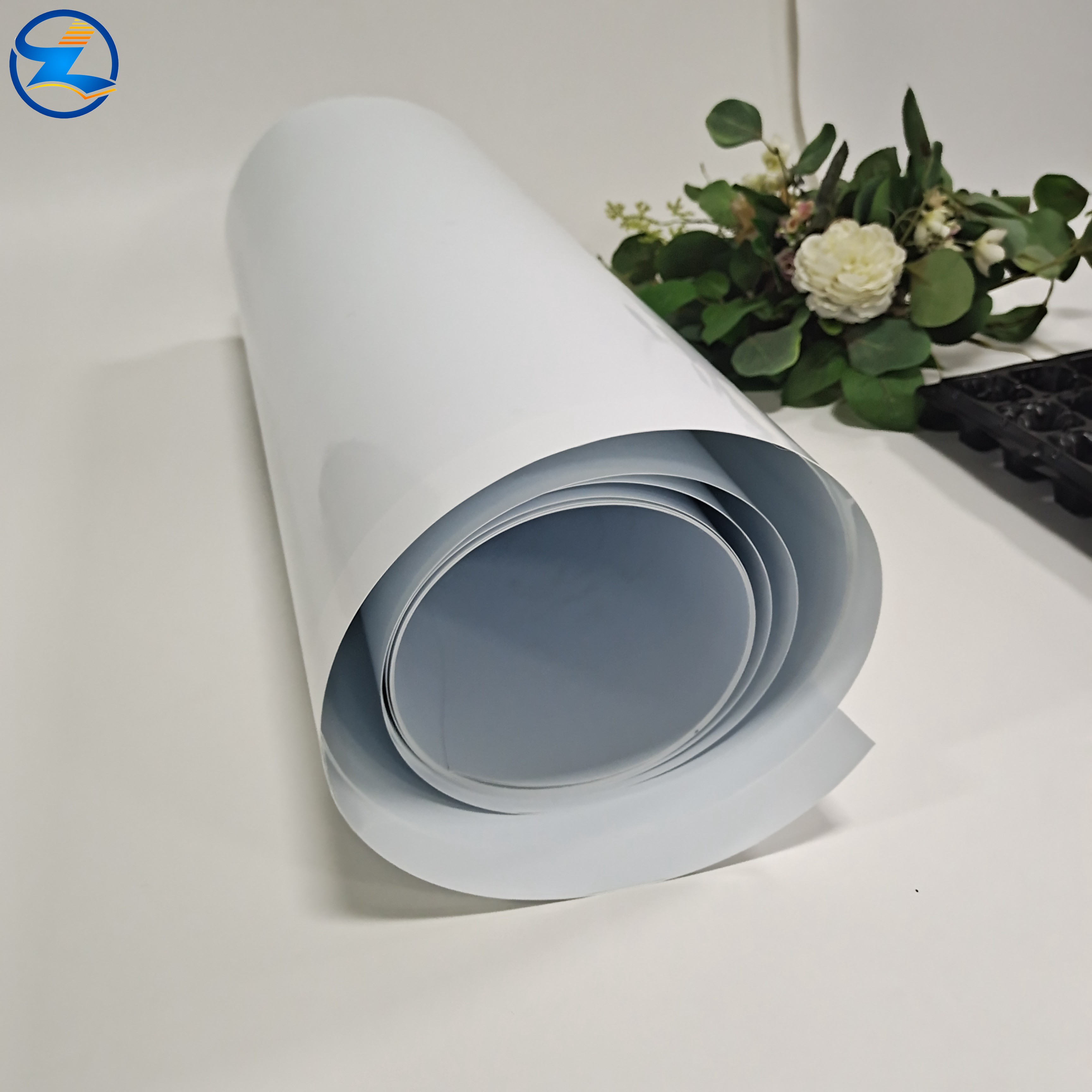 Clear PP Film Roll, Food Grade Polypropylene Film for Packaging & Lamination