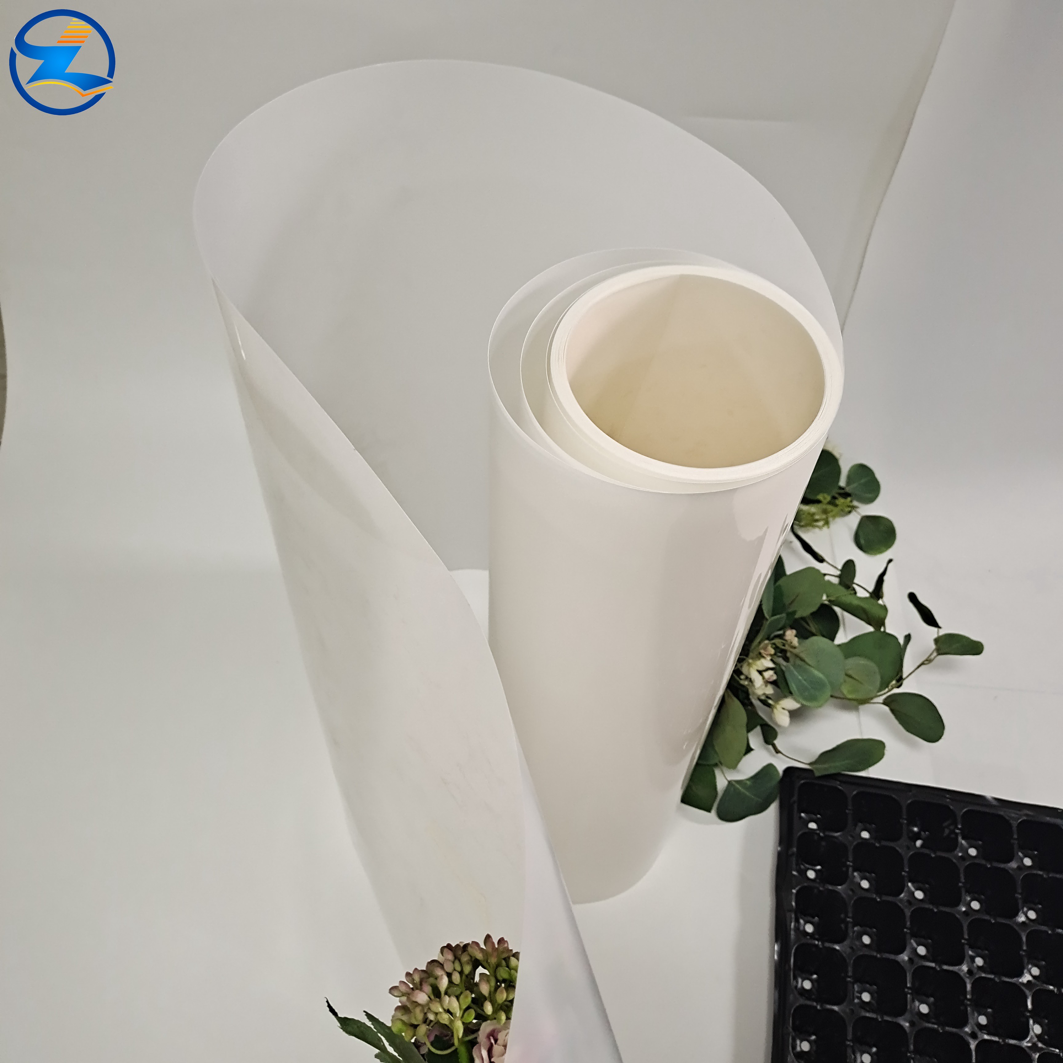 High-Quality PP Film for Packaging & Industrial Applications