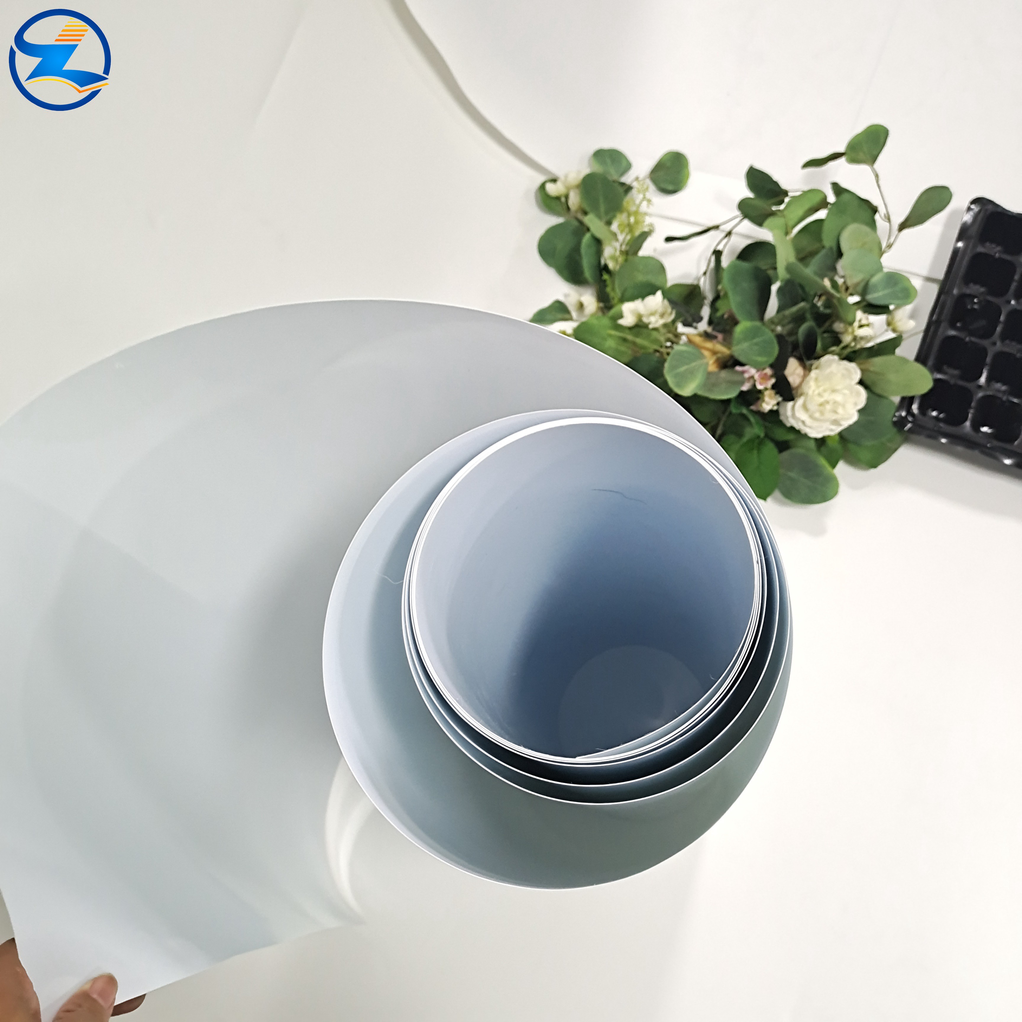 High Strength Moisture Proof PP Film Roll Custom Printed Plastic Film