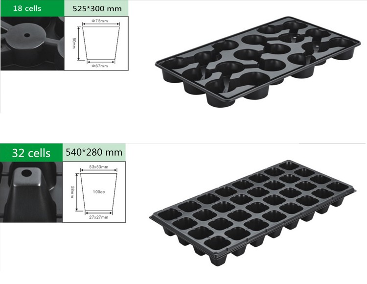 图片1 Seeding Tray PS Sheet