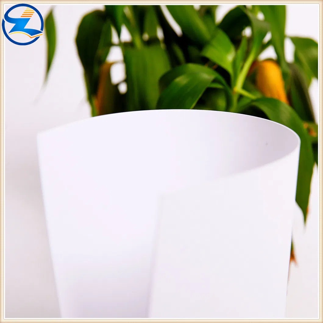 Colorful PP Films Sheets Rolls for Packing