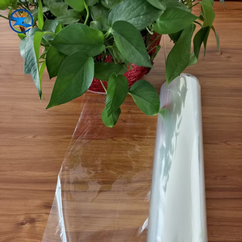 Food Grade PLA Transparent Film | Compostable Biodegradable Plastic Film