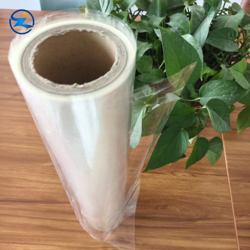 Biodegradable PLA Film For Thermoforming Cup/Lids