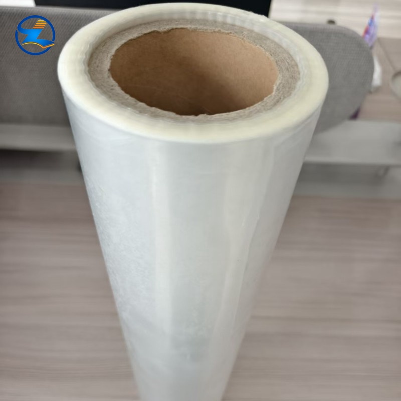 PE/PA/EVOH Thermo Shrinkable Wrap Film