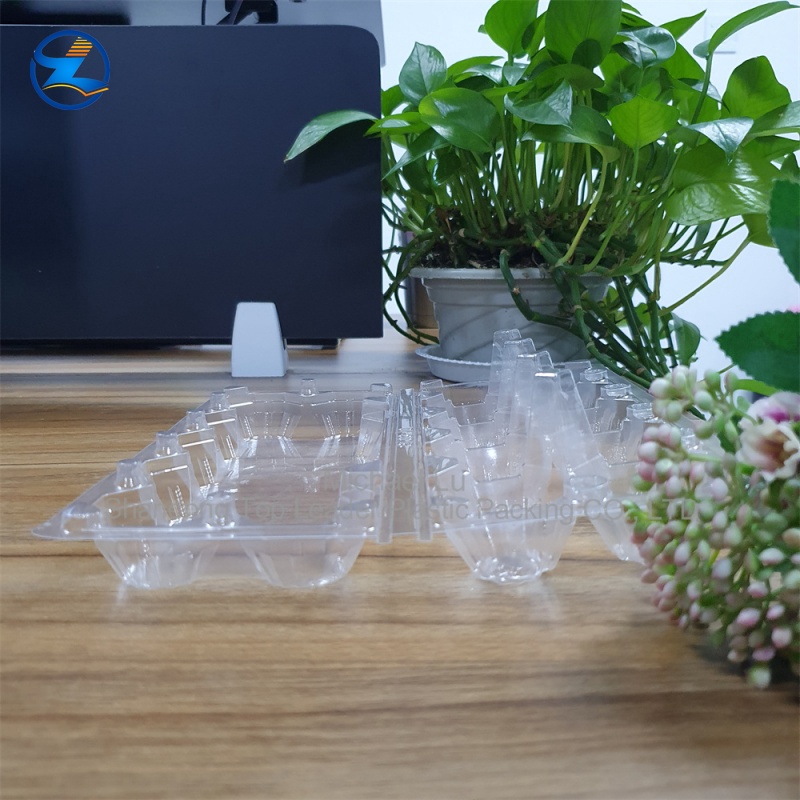 Transparent RPET Egg Tray — Sturdy, Durable, and Recyclable PET Material