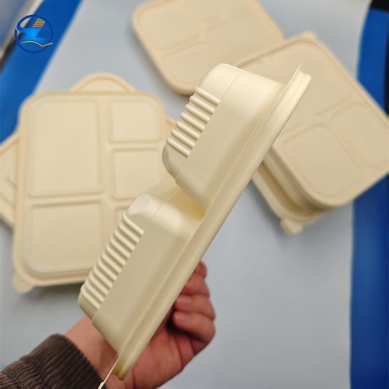 100% Biodegradable PLA Takeaway Box