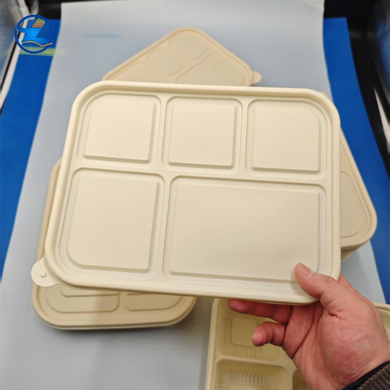 PLA Takeaway Food Containers