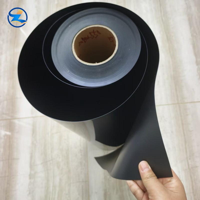 PP/EVOH/PP Film Blister for Food Packaging
