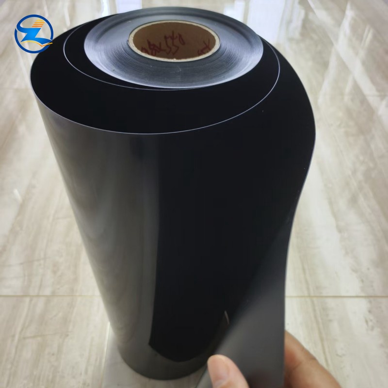 PP/EVOH/PP Film Blister for Food Packaging