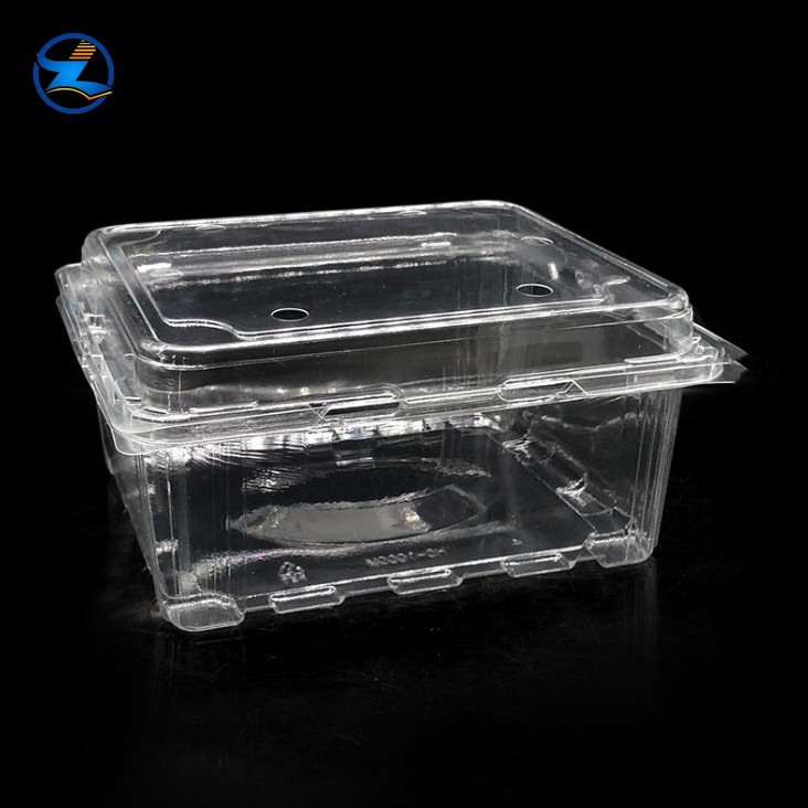 PET Food Box-002 Transparent PET Fruit Vegetable Packaging Boxes