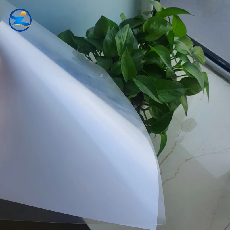 High-Clear PP Film Emerges as Core Sustainable Material for Global Flexible Packaging