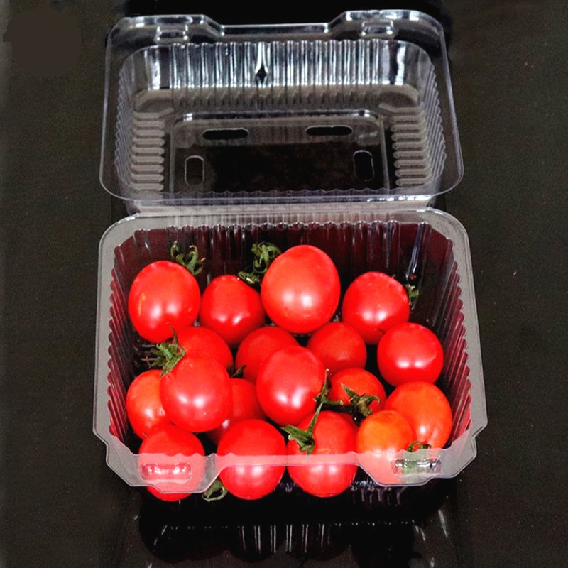 pet05 High-transparency PET material for food packing