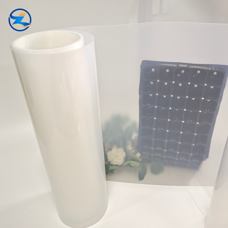 Thermoforming PP Material Sheet for packing and tray