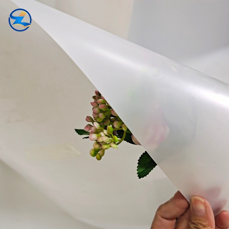 Clear PP Rigid Sheet for widely application