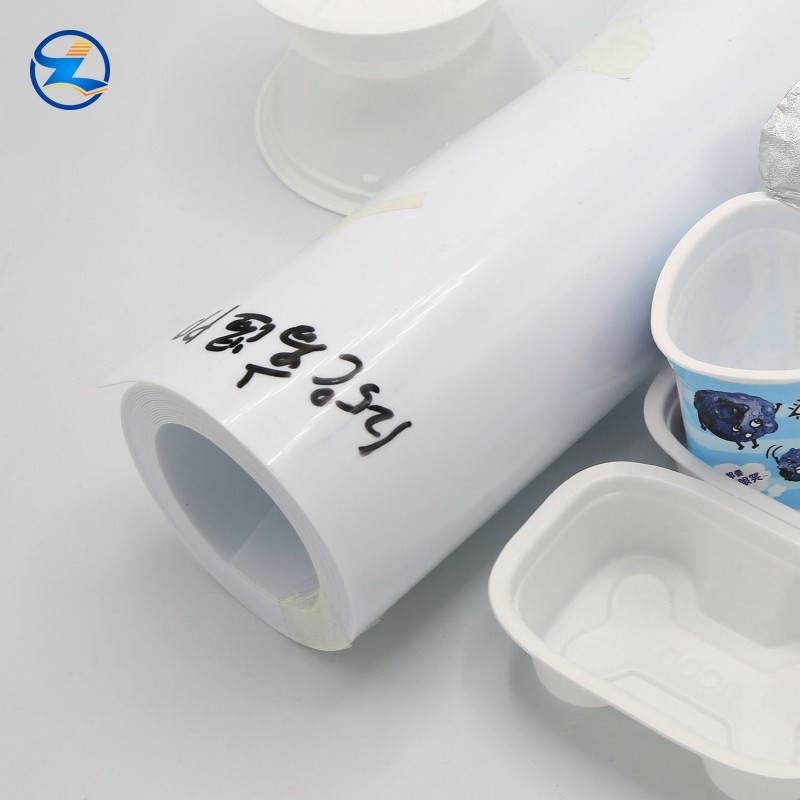 PP Rigid Sheet For Packing tray