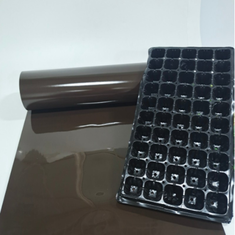 HIPS Sheet for thermoforming seedling tray