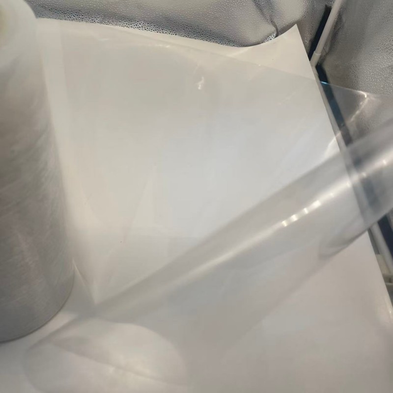 PA/PE/EVOH composite Film