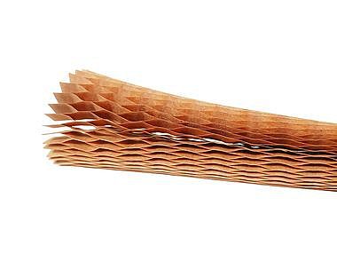 10023