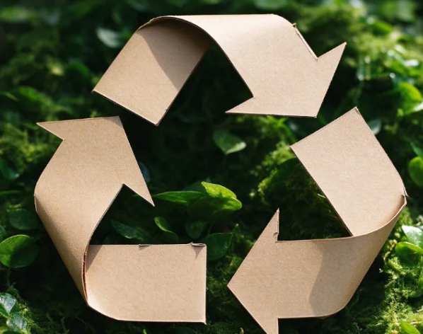 From PPWR to the 3Rs: How Businesses Can Rethink Packaging for a More Sustainable Future