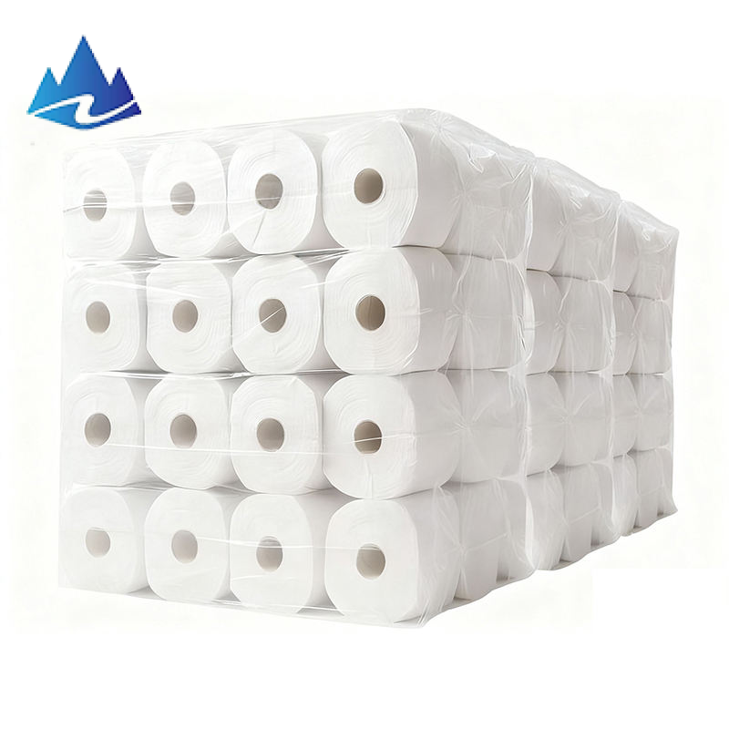 Toilet Paper And Toilet Paper Rolls