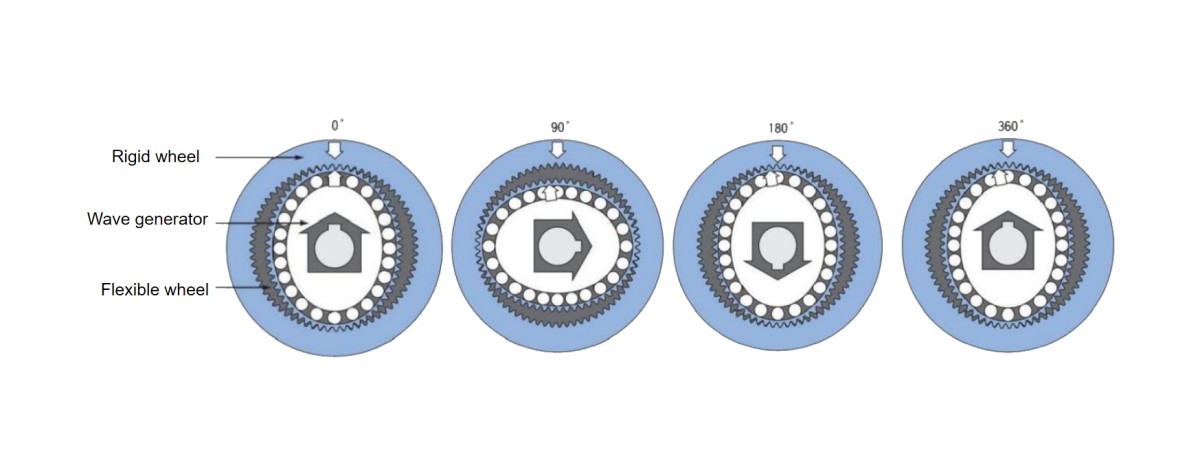 Flexible wheel L'entraînement harmonique de type coupe résout efficacement les problèmes de courte durée de vie des entraînements harmoniques