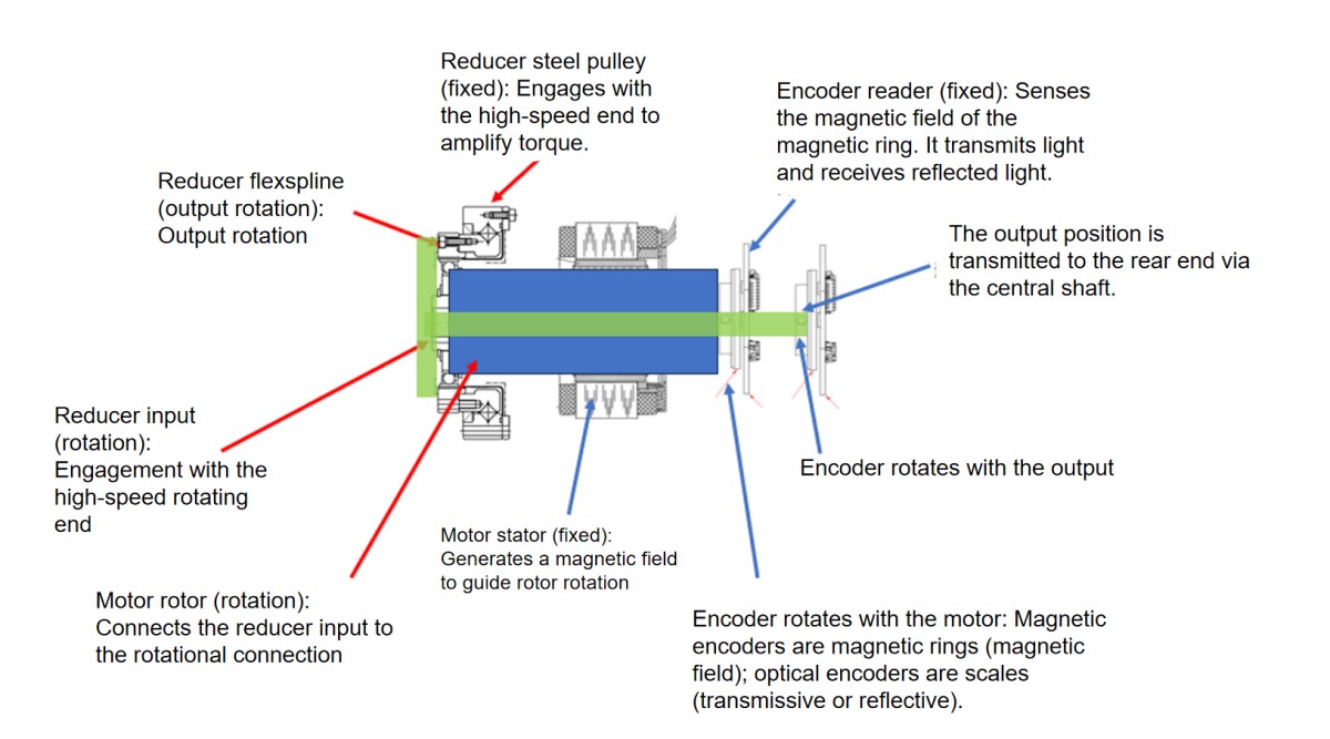 Quel est le meilleur choix pour les modules articulés : un seul ou deux encodeurs ?