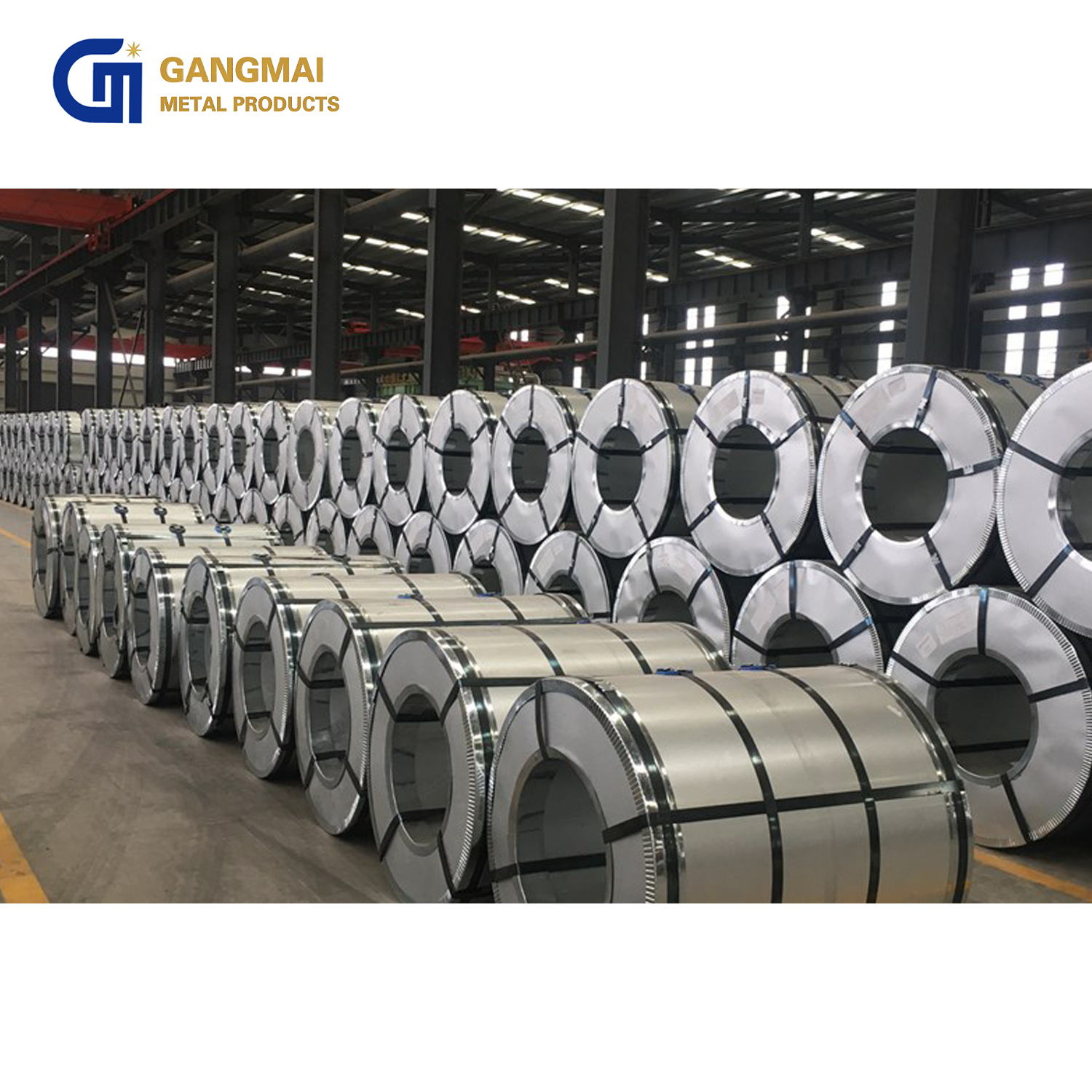 Galvanized Steel Coil DX53D+Z Hot Rolled EN Corrosion Resistant Construction Use Hot Dipped Electro-Galvanized Competitive Coils