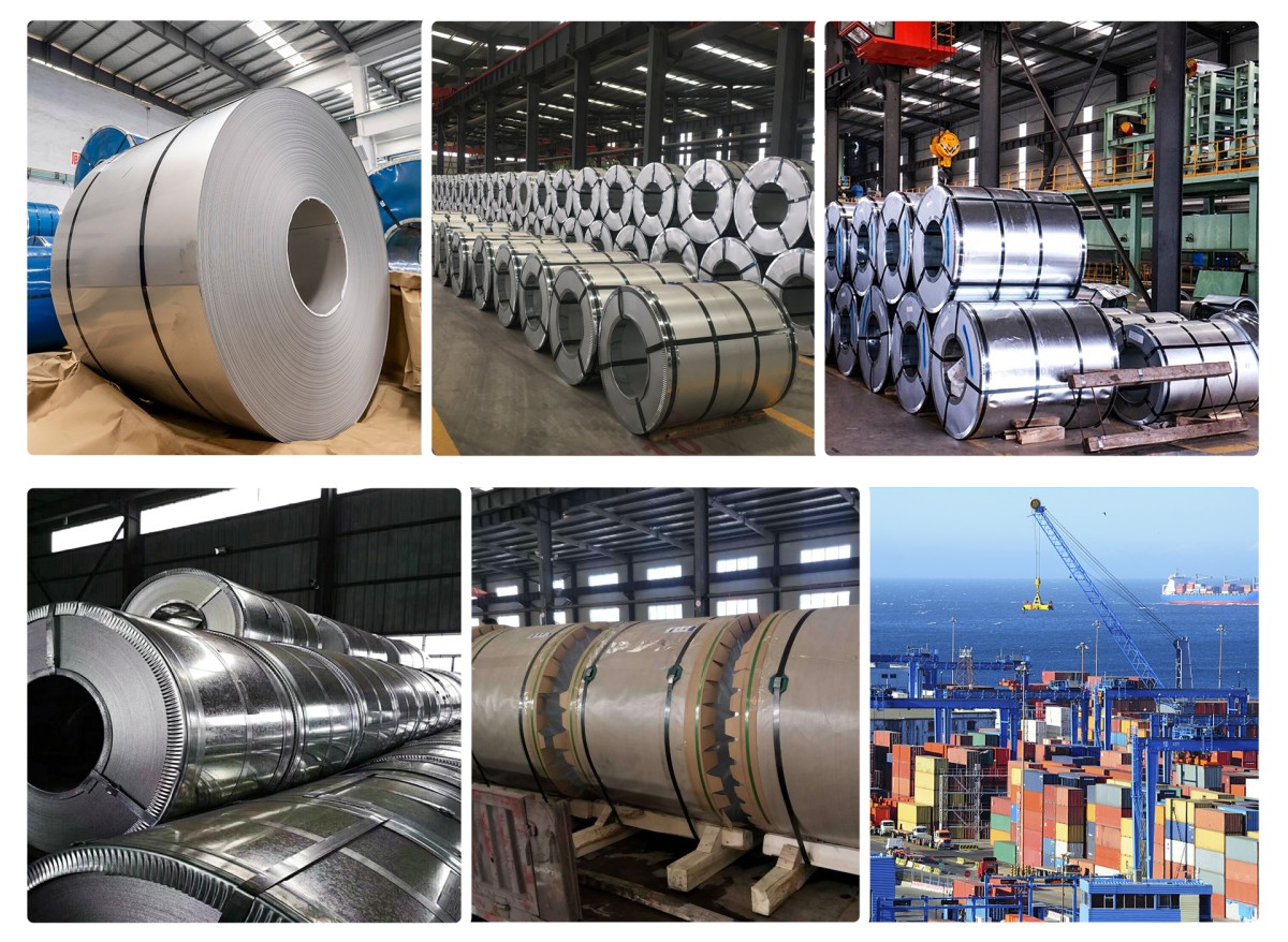Galvanized Steel Coil DX53D+Z Hot Rolled EN Corrosion Resistant Construction Use Hot Dipped Electro-Galvanized Competitive Coils
