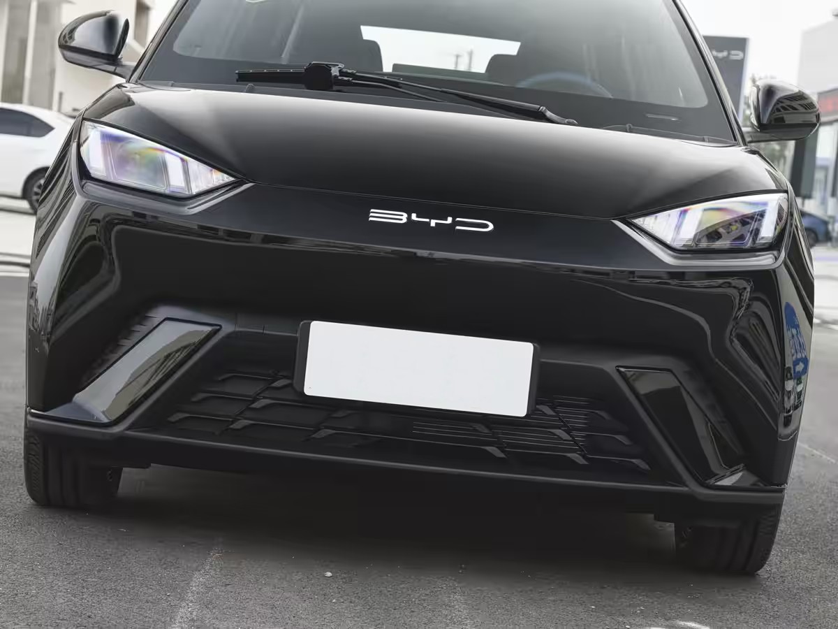 1 Choosing a BYD Pure Electric Car: A Detailed Comparison of the Seagull and Dolphin