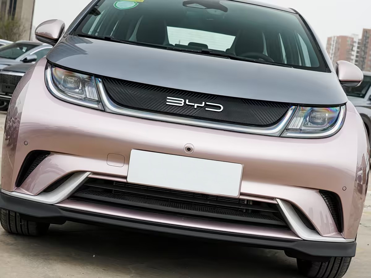2 Choosing a BYD Pure Electric Car: A Detailed Comparison of the Seagull and Dolphin