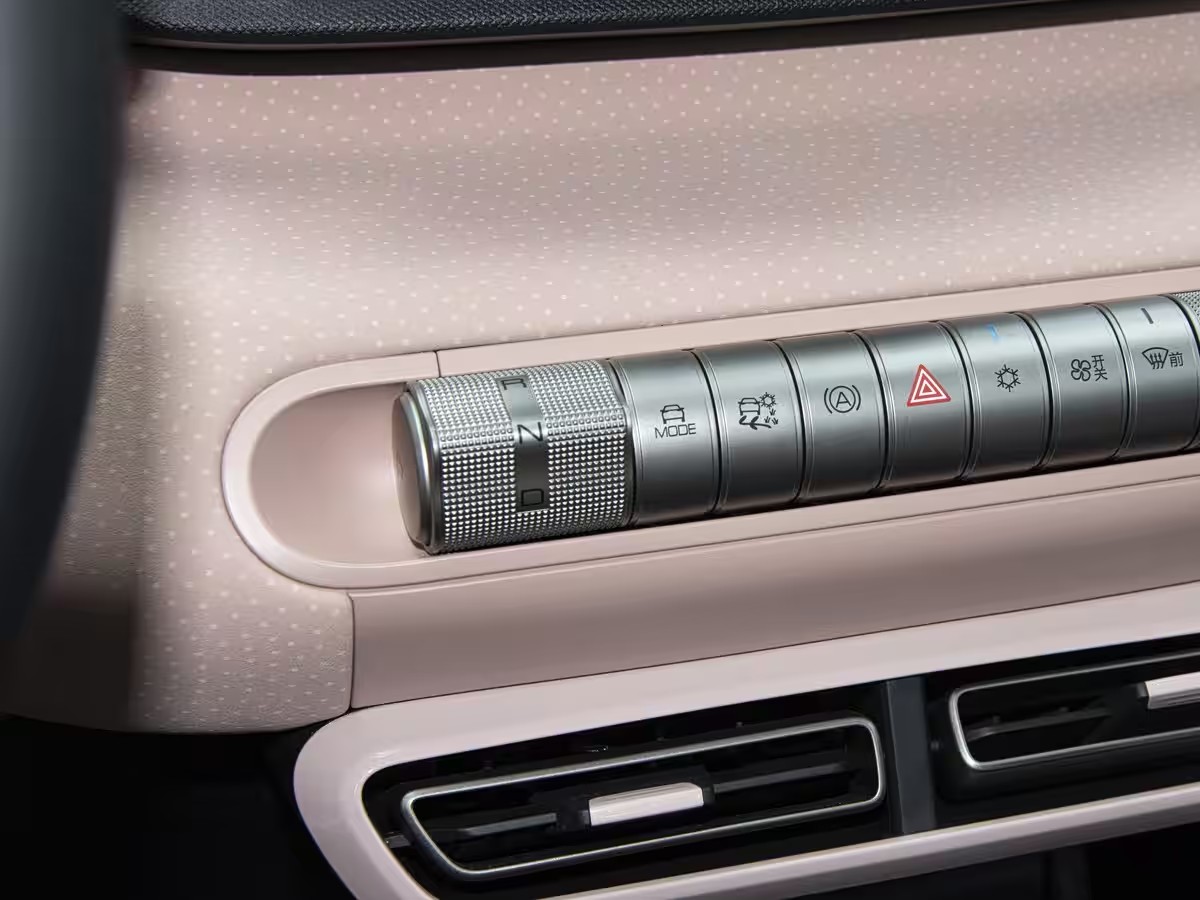 3 Choosing a BYD Pure Electric Car: A Detailed Comparison of the Seagull and Dolphin