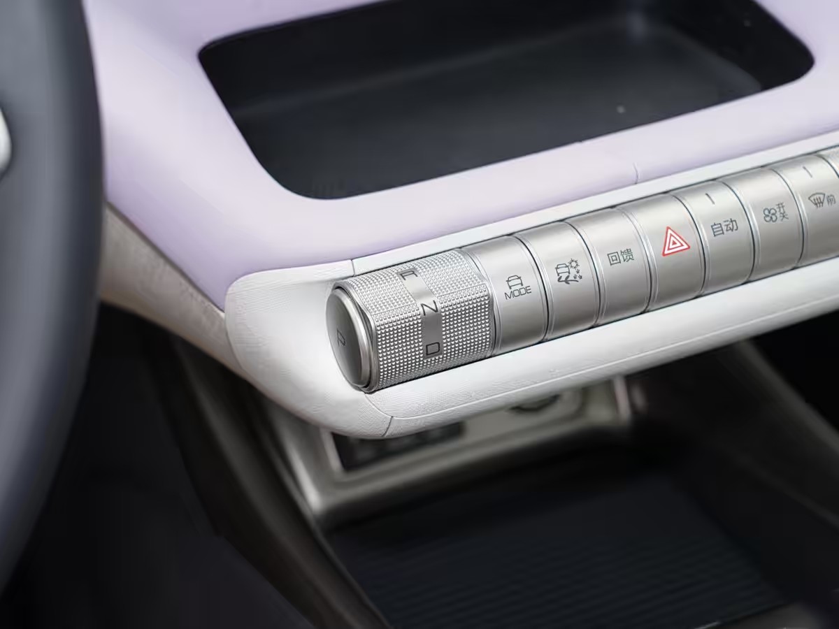 4 Choosing a BYD Pure Electric Car: A Detailed Comparison of the Seagull and Dolphin