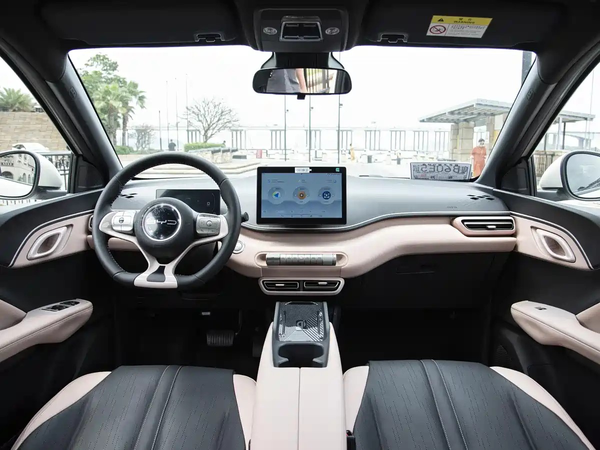 7 Choosing a BYD Pure Electric Car: A Detailed Comparison of the Seagull and Dolphin
