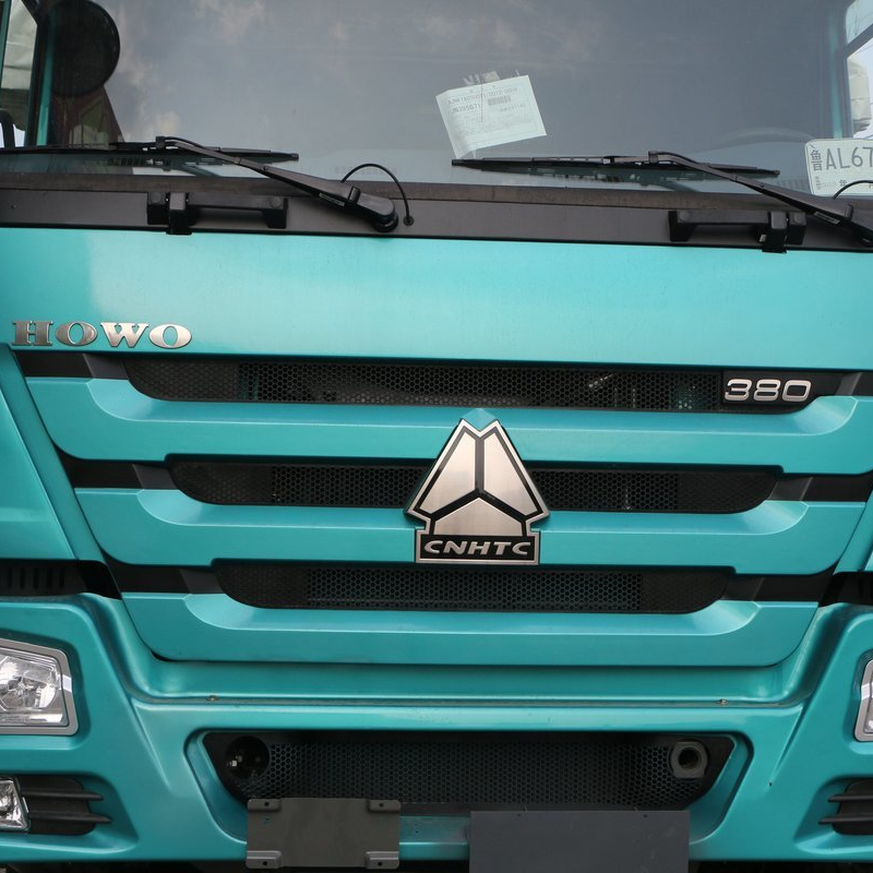 Camion lourd Sinotruk HOWO 380 ch 6X4 10 roues pour le transport de chevaux