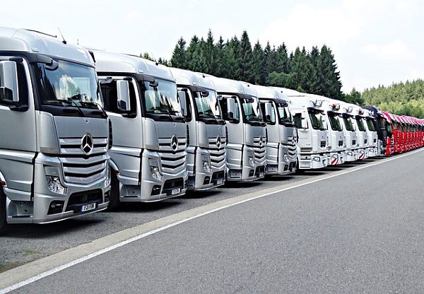 Shandong Maituo Xingtu Technology Co., Ltd.
