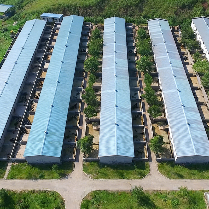 Livestock Shed
