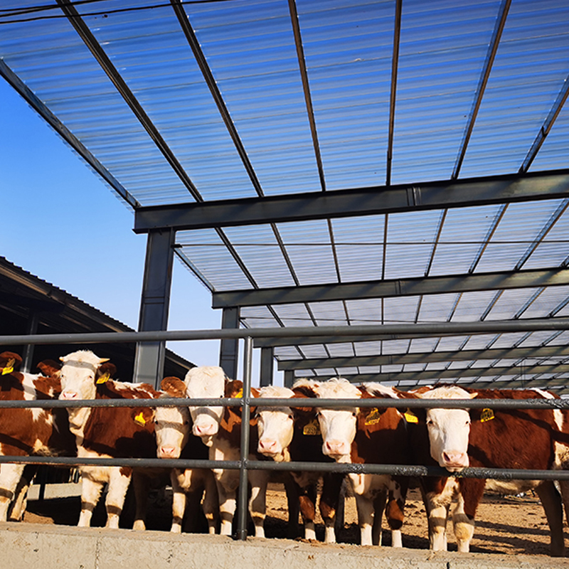 Livestock Shed