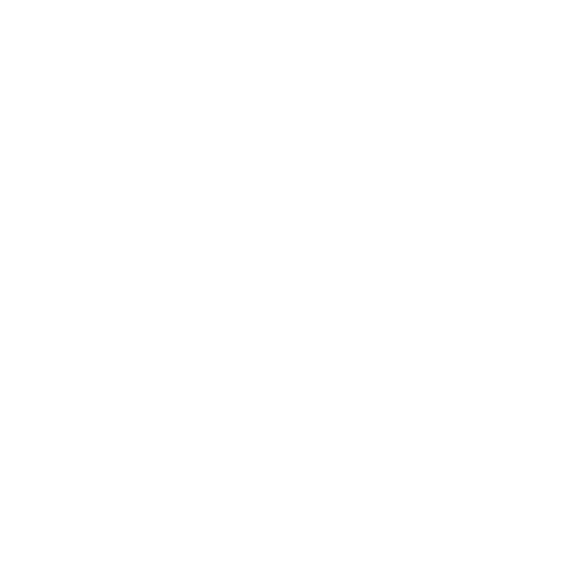 icono (6)