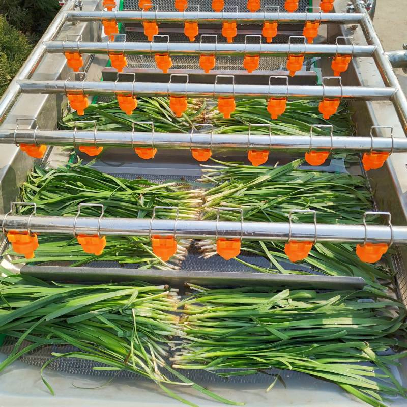 Wholesale-Price-Commercial-Multi-Function-Fruit-Meat-Washing-Cabbage-Leafy-Vegetables-Melon-Process-Bubble-Washer-Machine