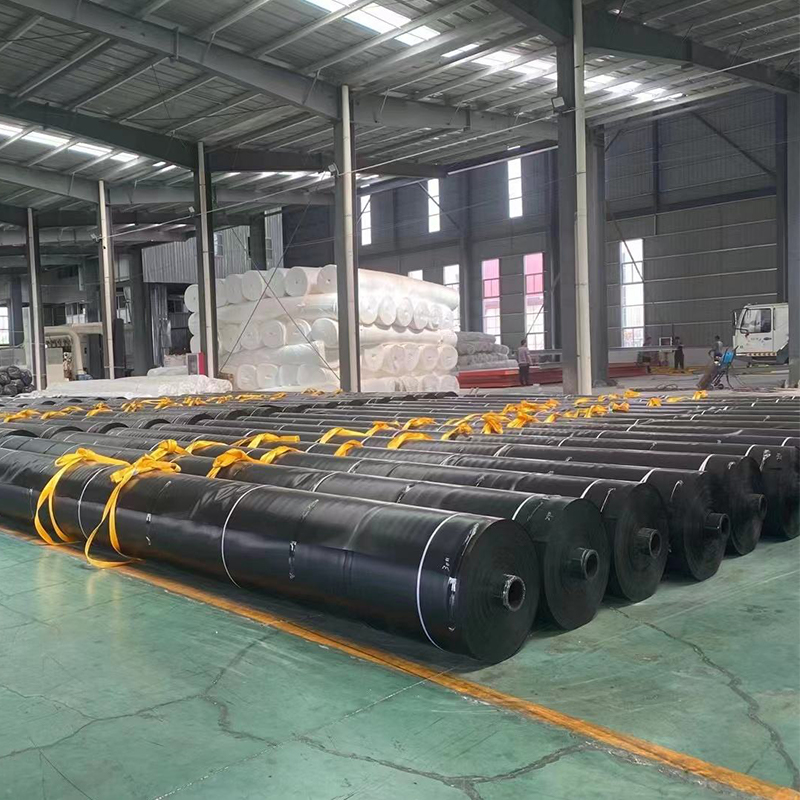 EBA geomembrane