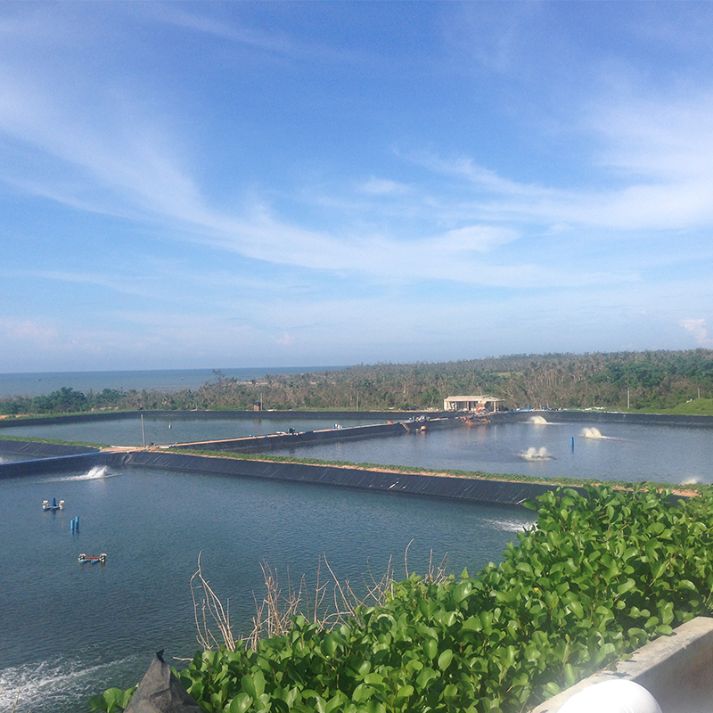 EPDM geomembrane