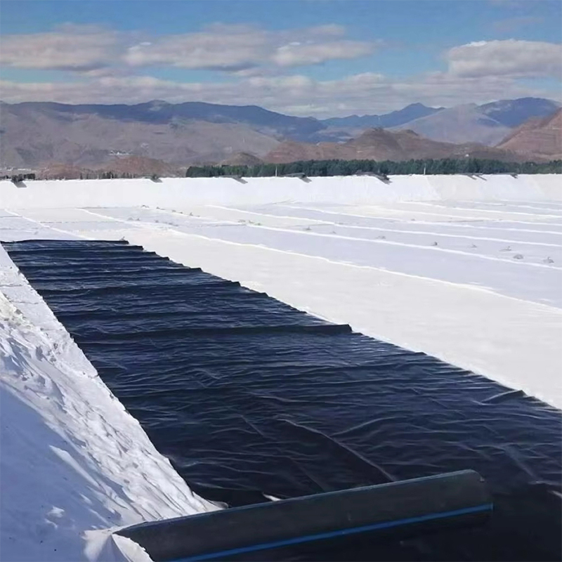 Multilayer Geosynthetic Barrier System