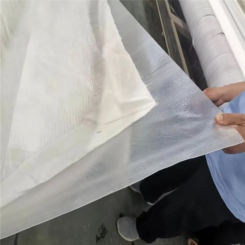 Multilayer Geosynthetic Barrier System