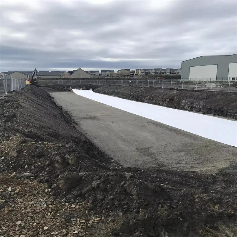 Geocomposite Drainage Layer