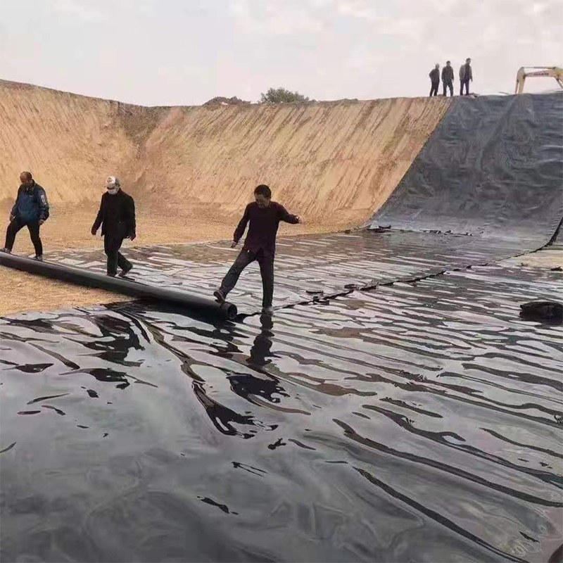 LDPE smooth geomembrane