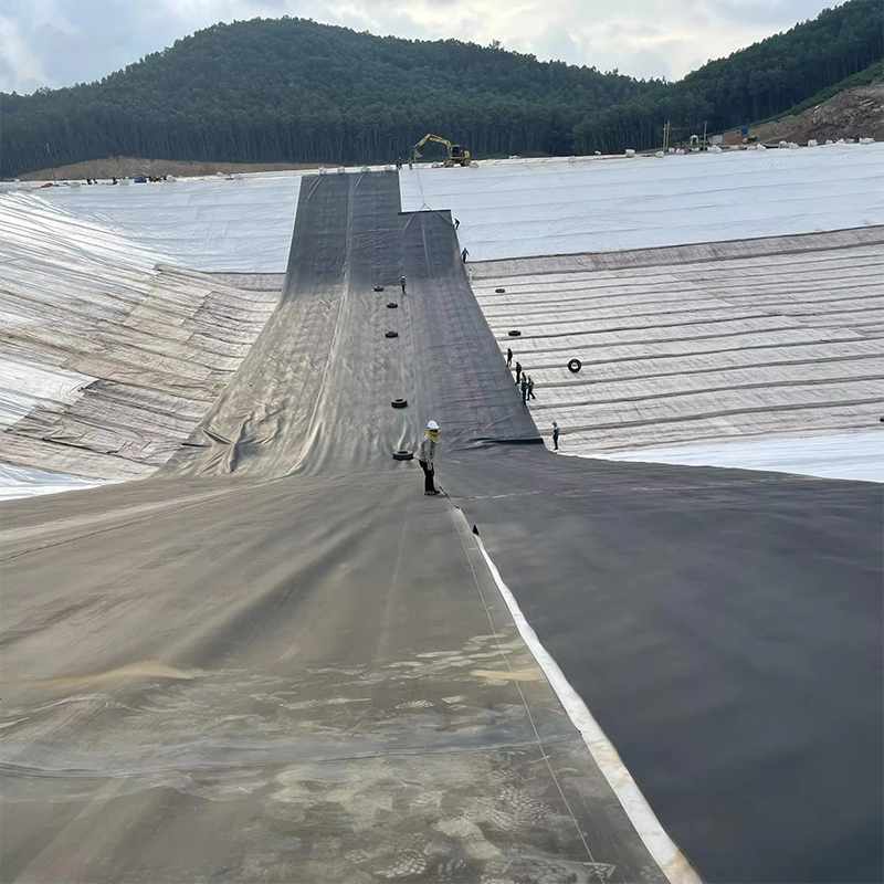LLDPE geomembrane