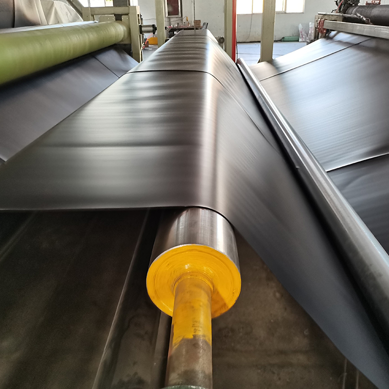 LLDPE geomembrane