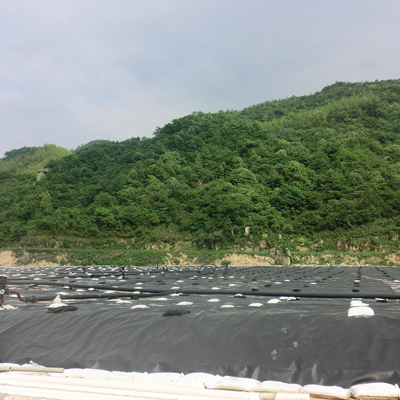 LDPE geomembrane