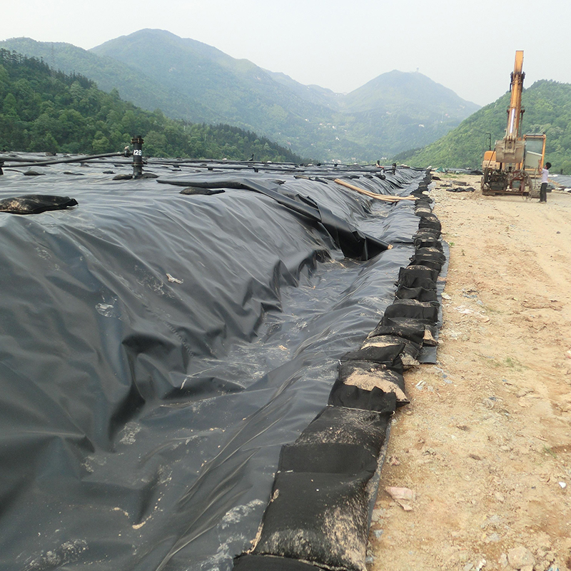 LDPE geomembrane