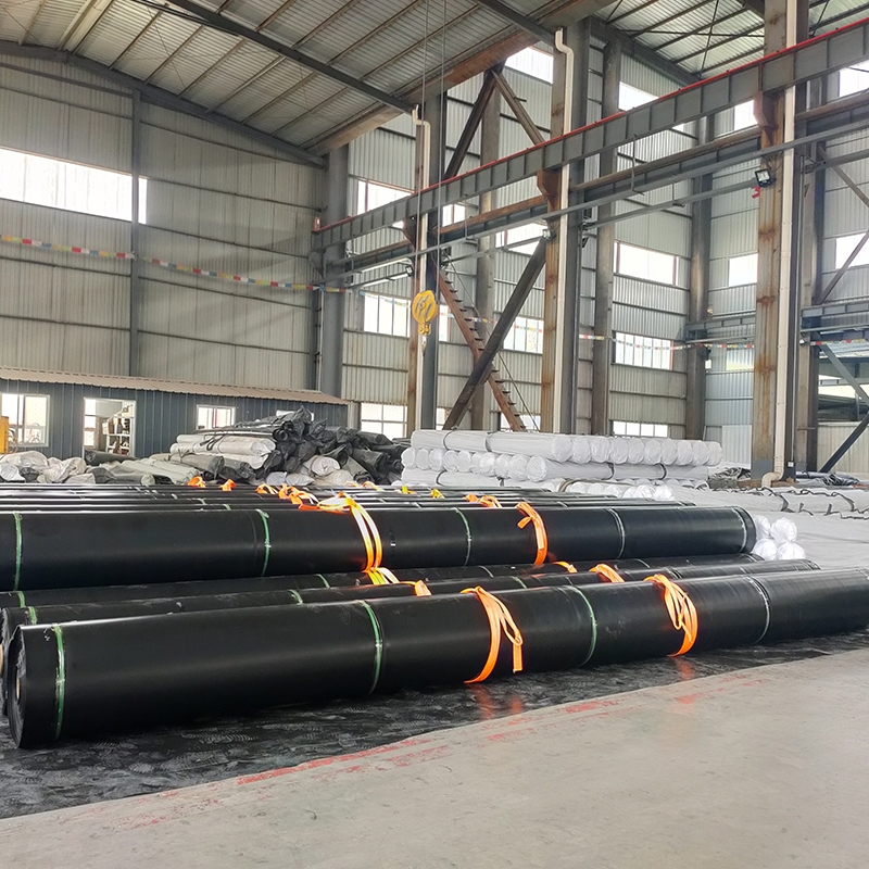 LDPE geomembrane